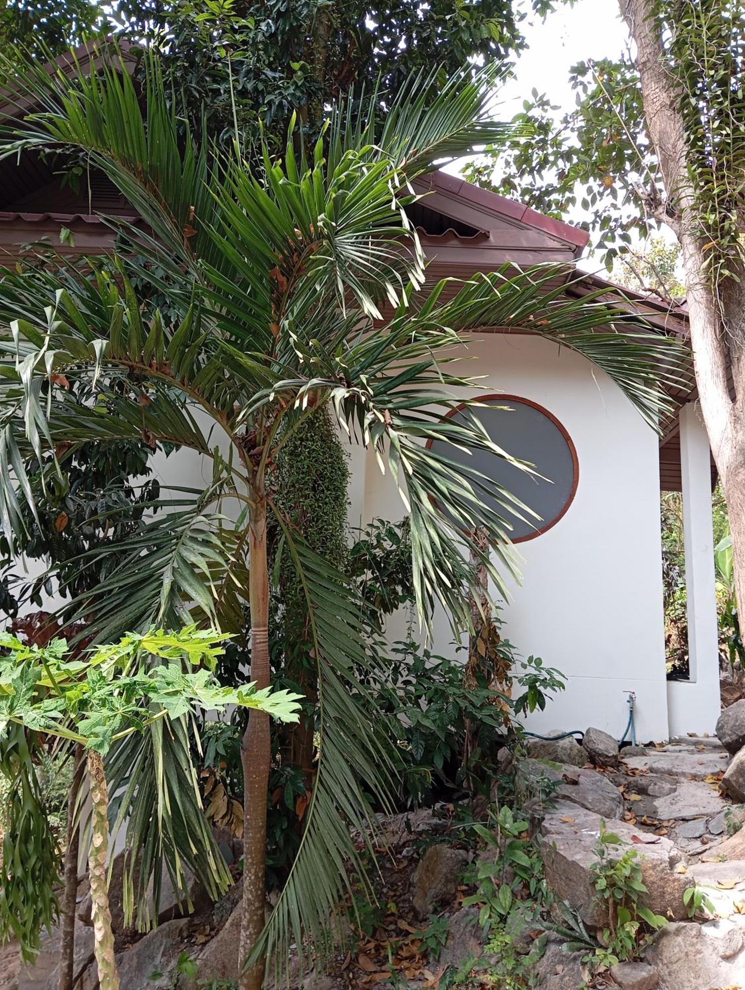 Crocus Garden Villa Хаад Яо Екстериор снимка